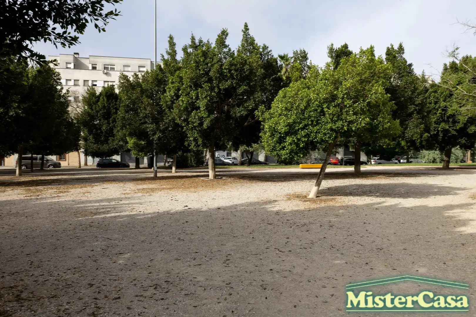 Exterior view of Houses for sale in Jerez de la Frontera
