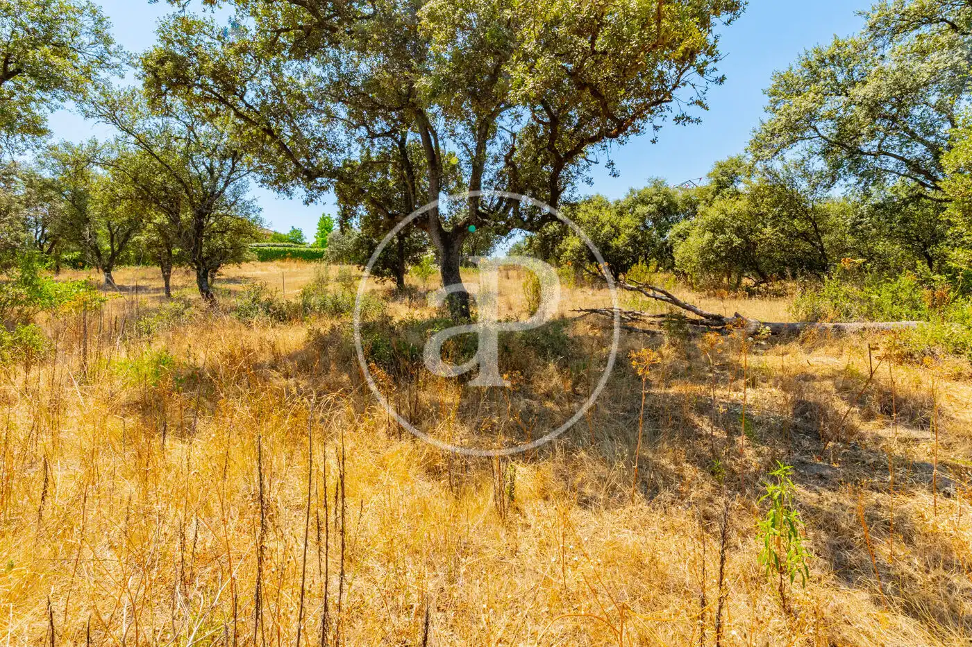Residential land for sale in Ciudalcampo, imagen 3