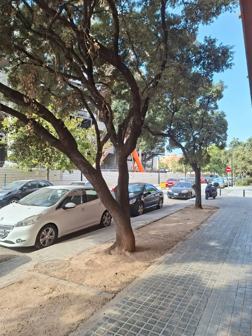 Piso en venta en Carrer Amics del Corpus, 17, Barrio de Benicalap