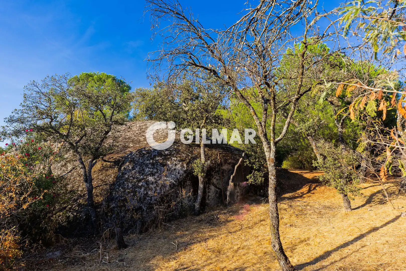 Residencial en venda en Madrid