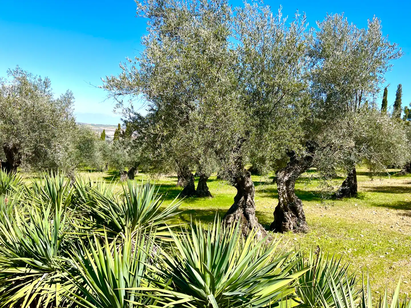 Garden of Houses for sale in Toledo  with Air Conditioner, Heating and Private garden