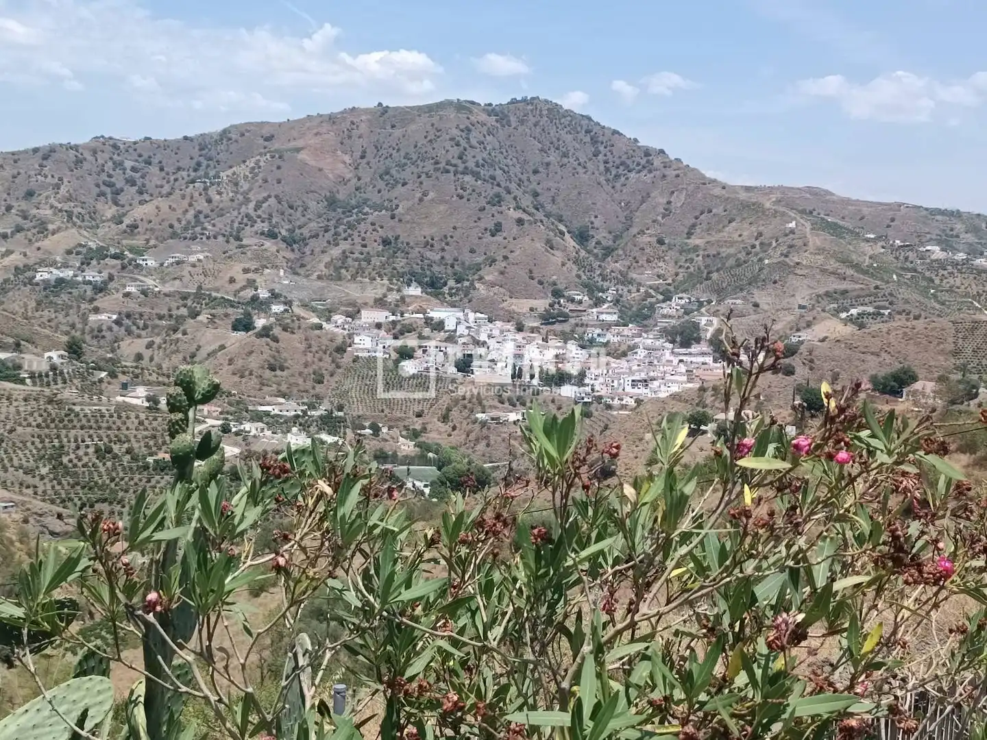 Vista exterior de Casa o chalet en venta en El Borge con Aire acondicionado, Calefacción y Trastero