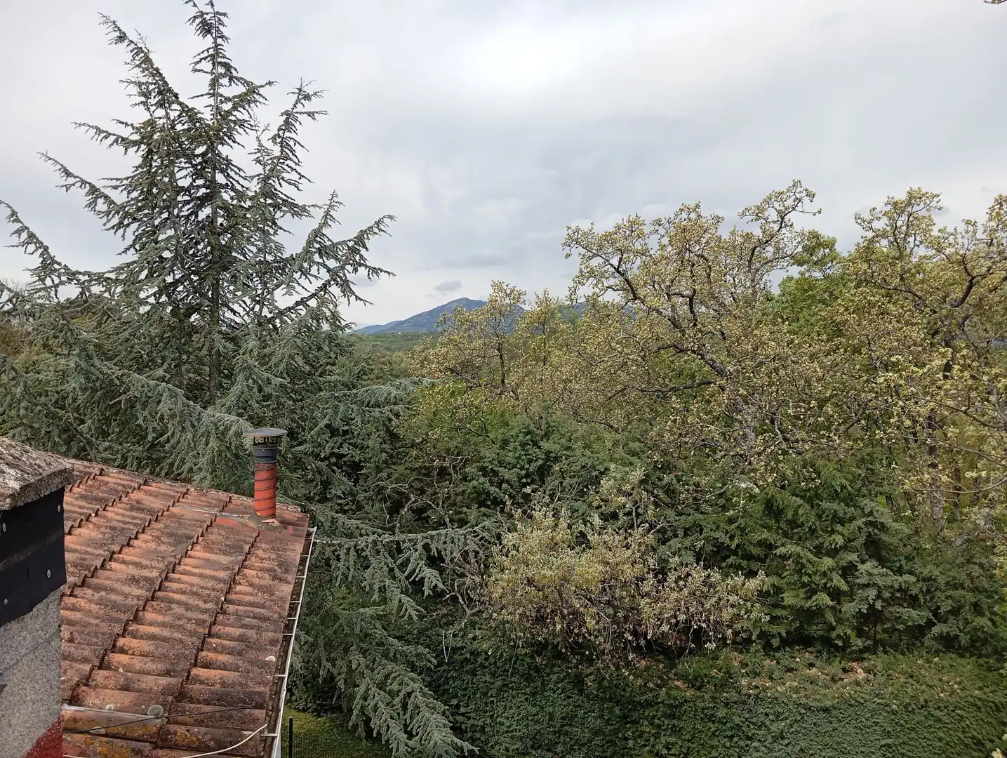 Garden of Houses for sale in Valdemorillo