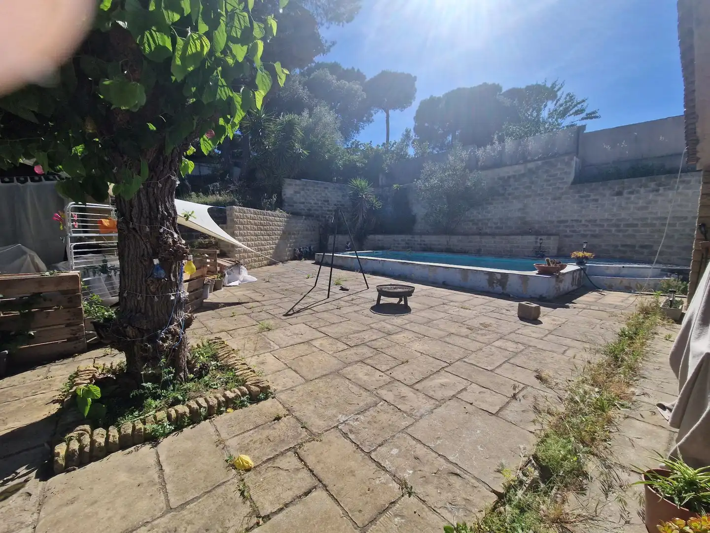 Jardí de Casa o xalet en venda en Dosrius