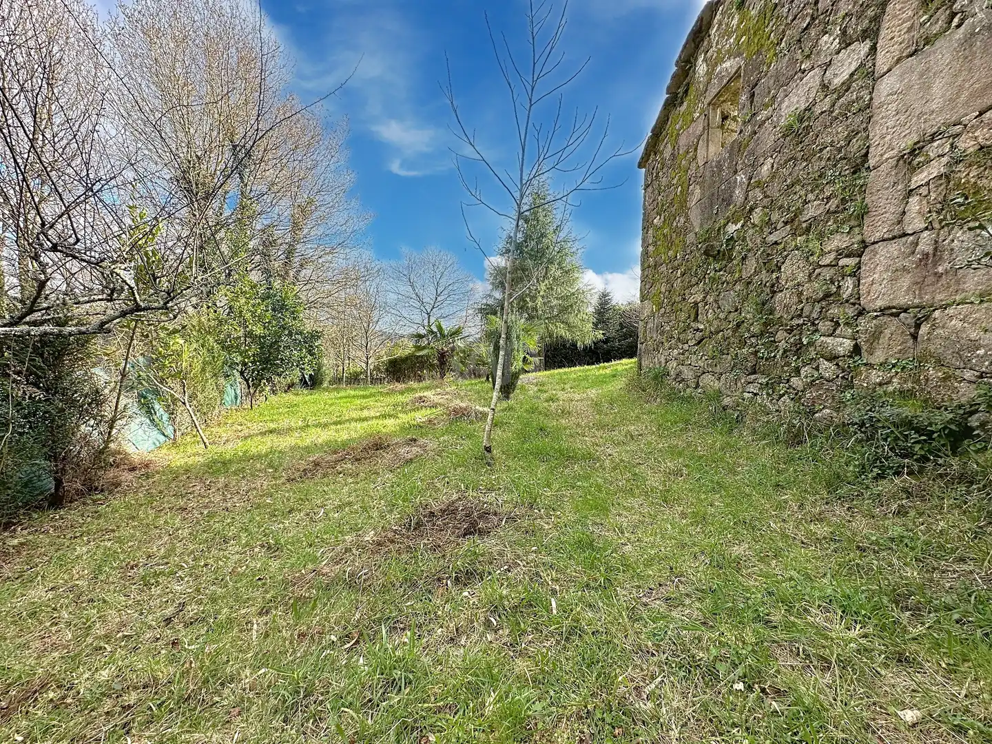 Casa o chalet en venta en Campo Lameiro