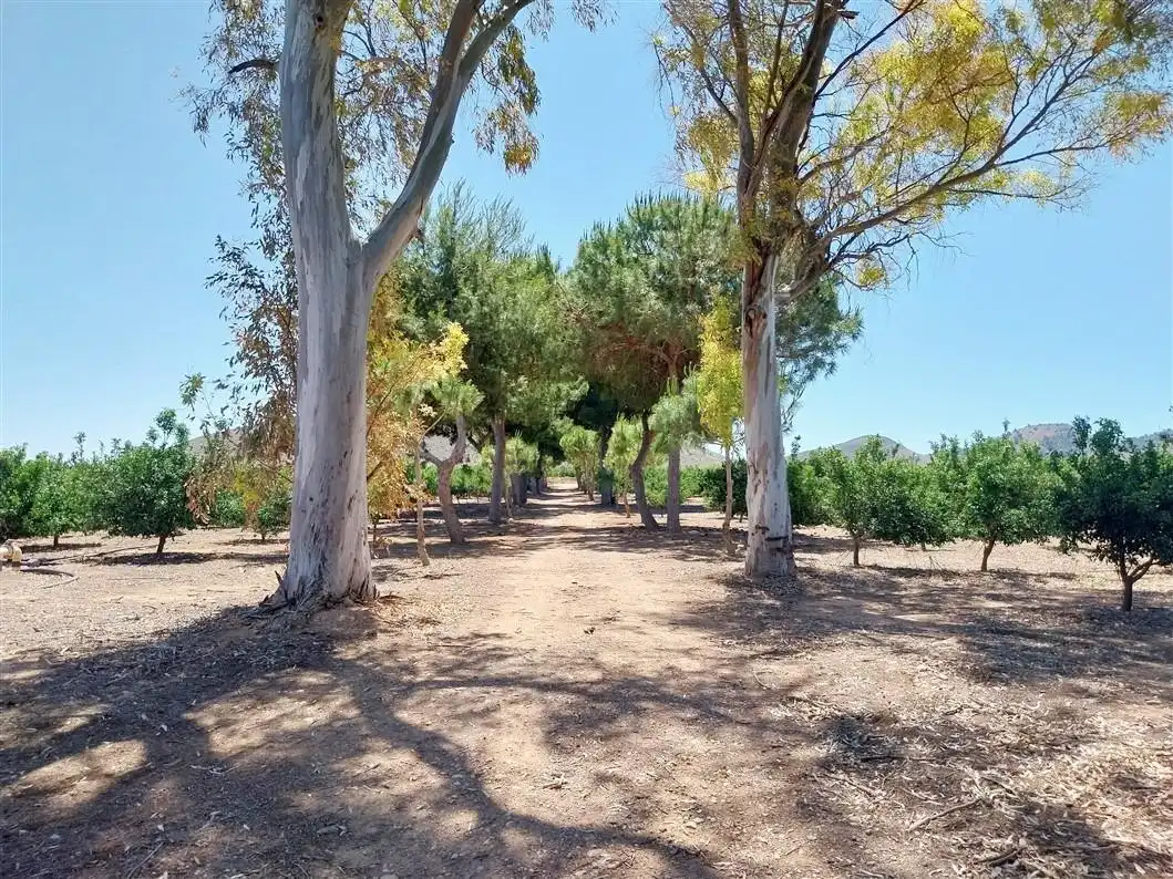 Casa amb jardí en venda a 30334 1, imagen 35