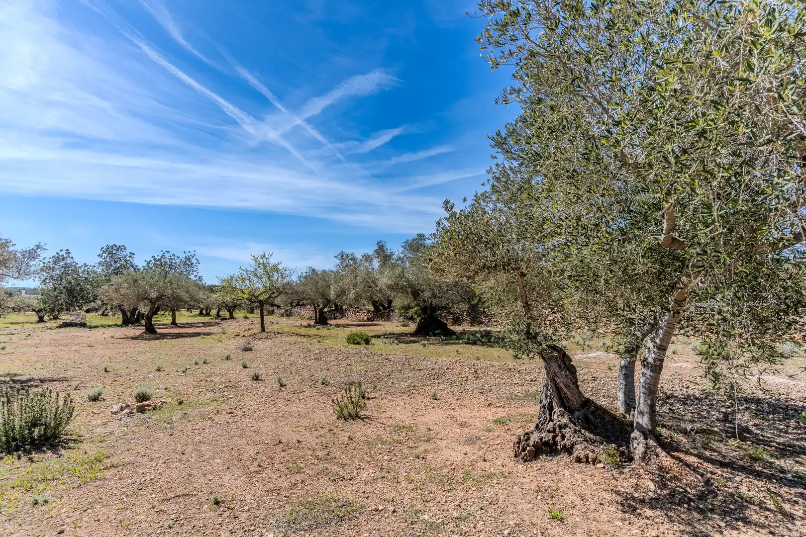 Land for sale in El Perelló