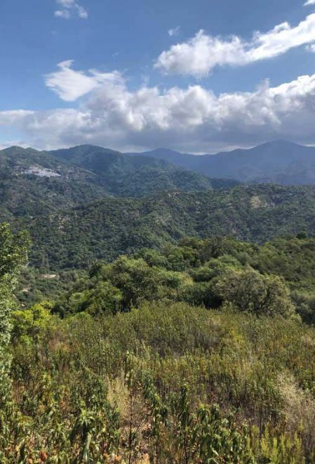 Residencial en venda a Genalguacil