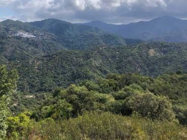 Terrenys i solars en venda a Genalguacil