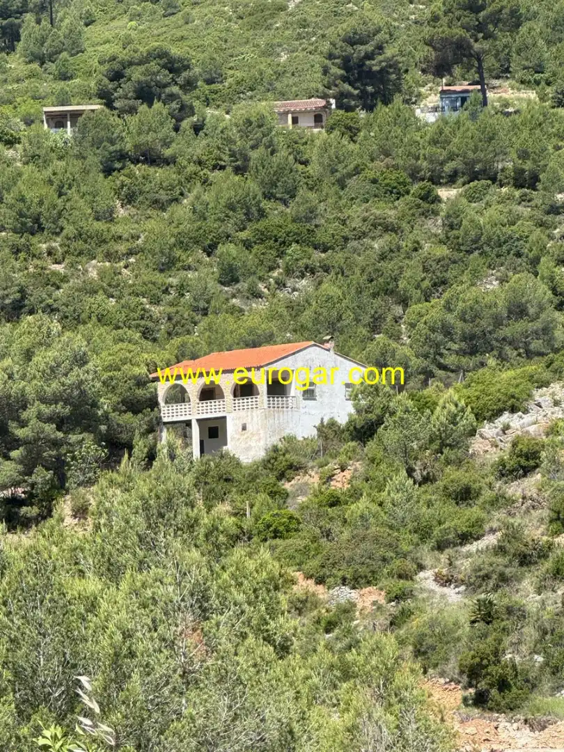 Finca rústica en venta en Chiva