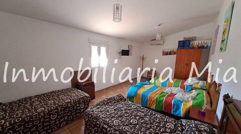 GRAN OPORTUNIDAD Finca de Lujo con 3 Casas  Producción de Pistachos a 20 min del Mar, immagine 4
