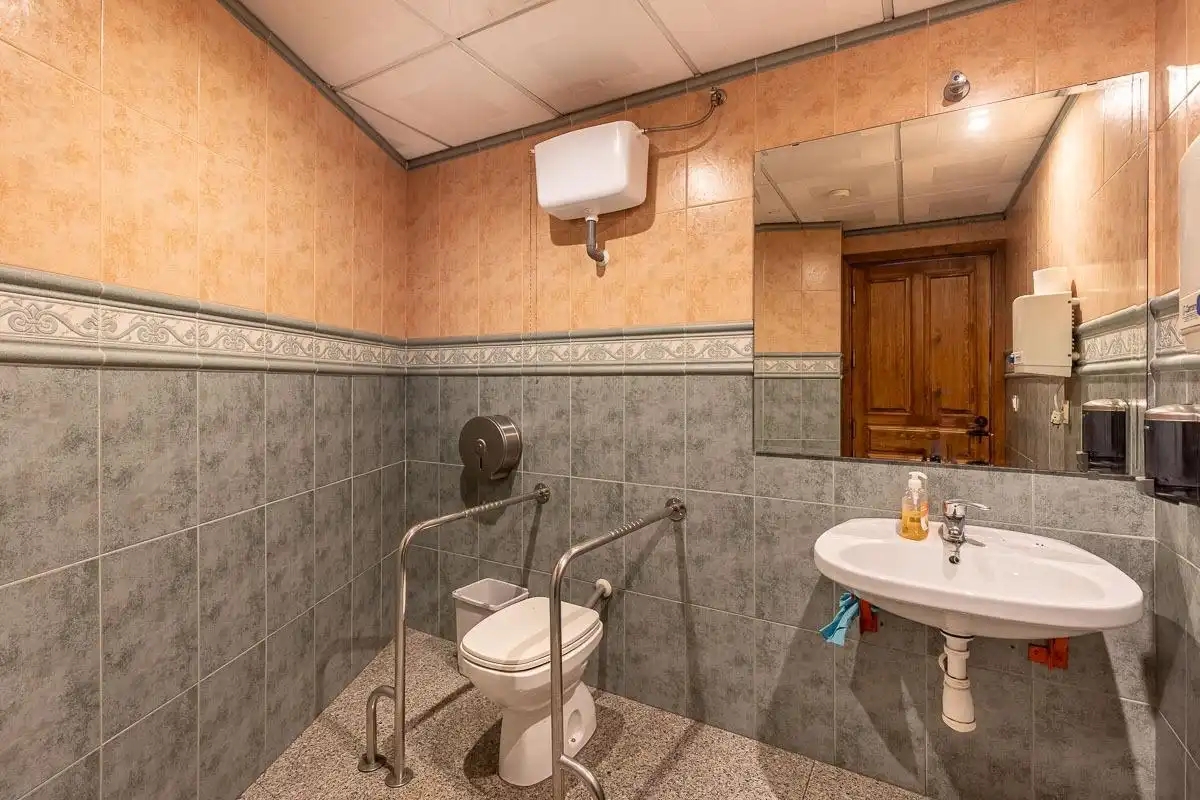 Inmuebles singulares con ascensor en venta en Cenes de la Vega, imagen 22