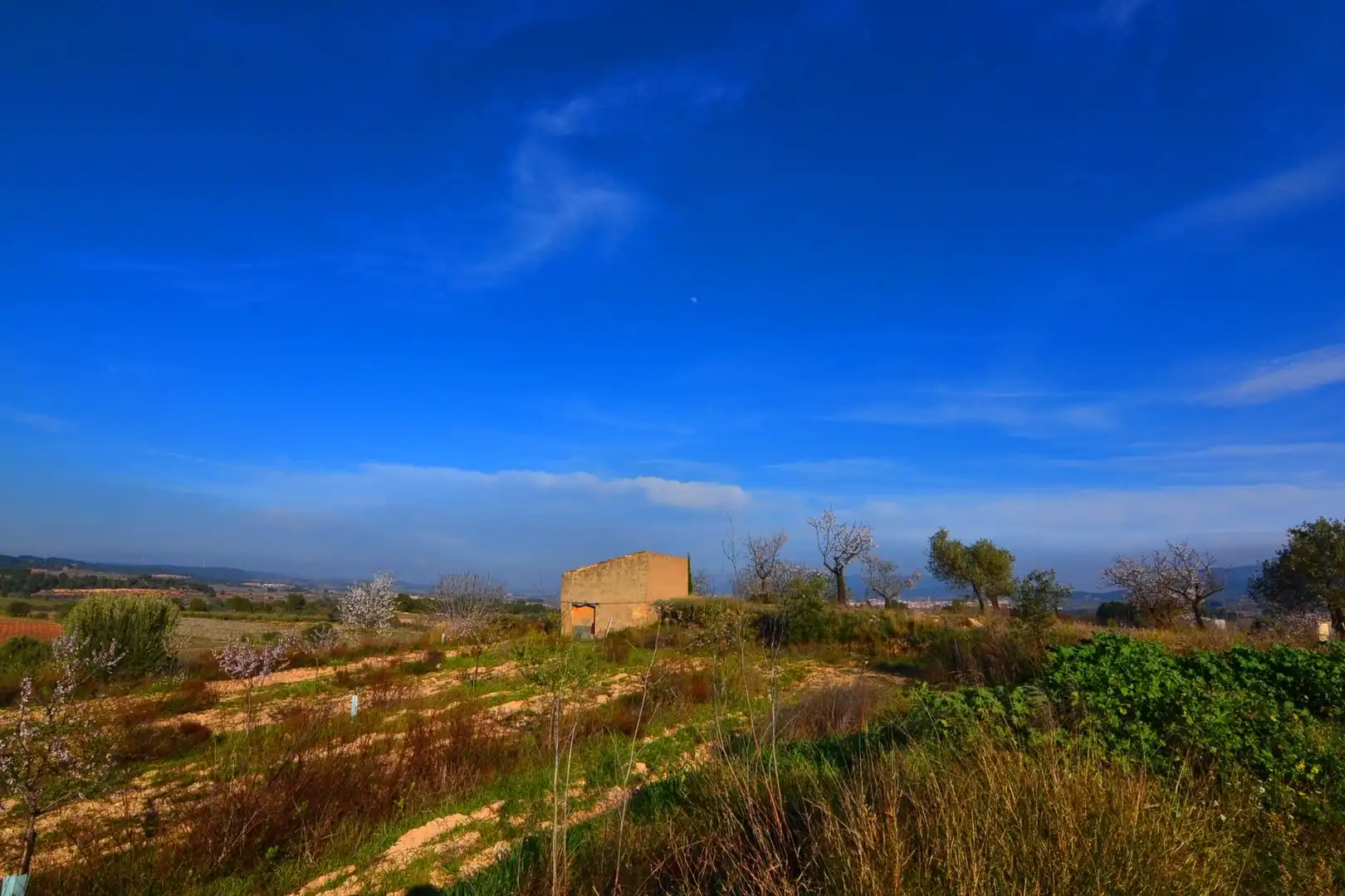 Rural land for sale in Gandesa, imagen 7