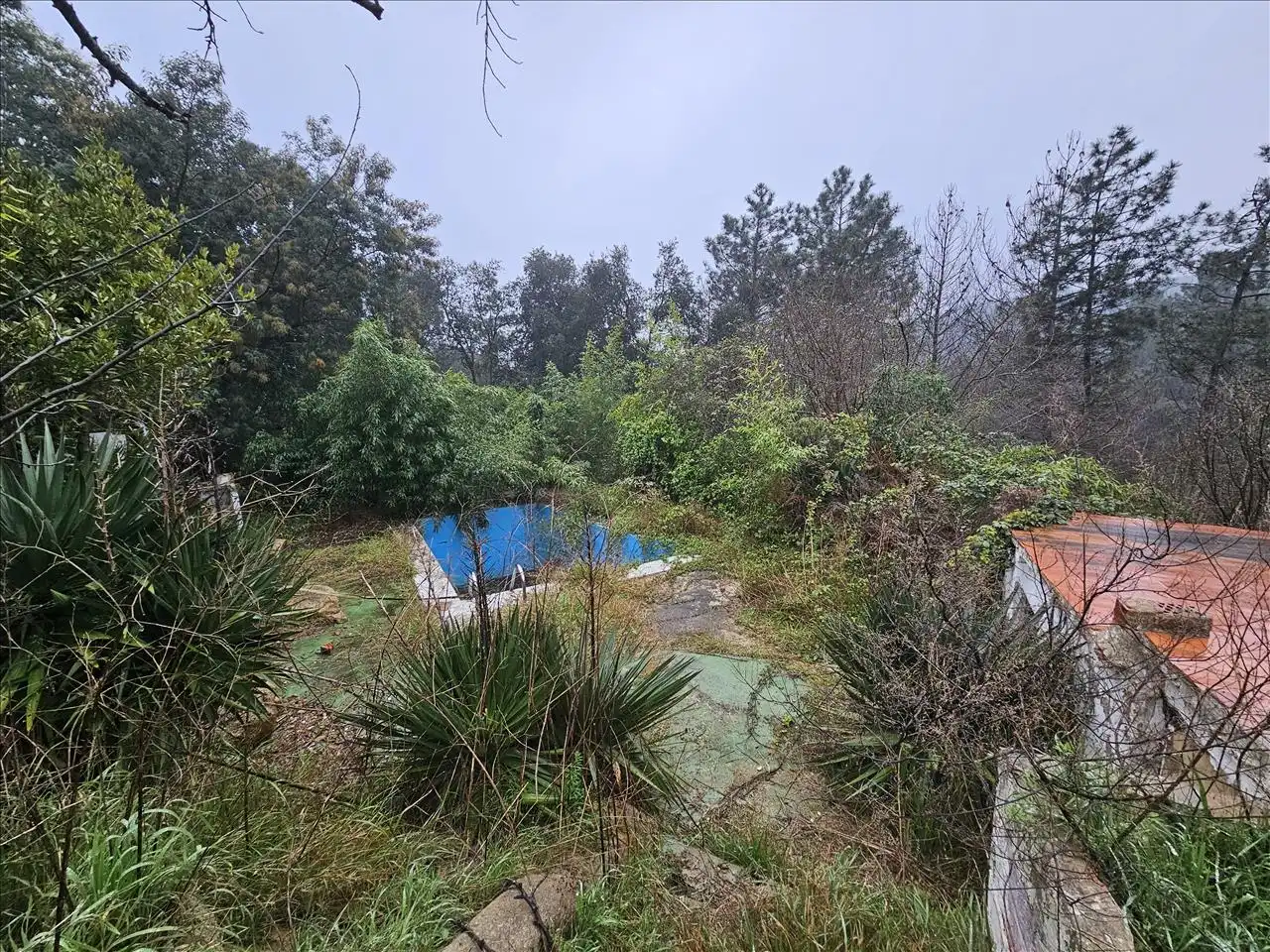 Casa o xalet en venda en Riudarenes