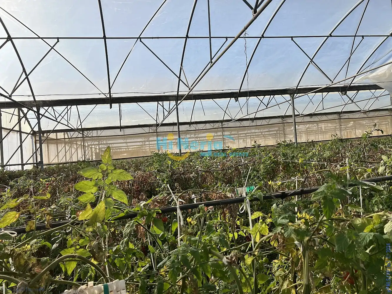 Terrenys i solars en venda a Algarrobo pueblo, imagen 7