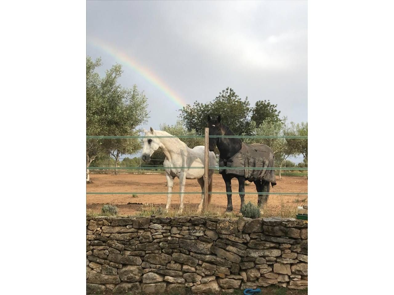 Garden of Country house for sale in Càlig  with Heating, Private garden and Terrace