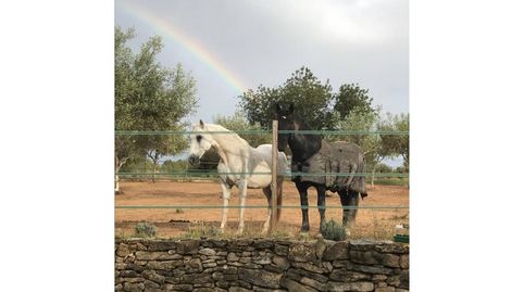 Foto 3 de Finca rústica en venta en Càlig, Castellón