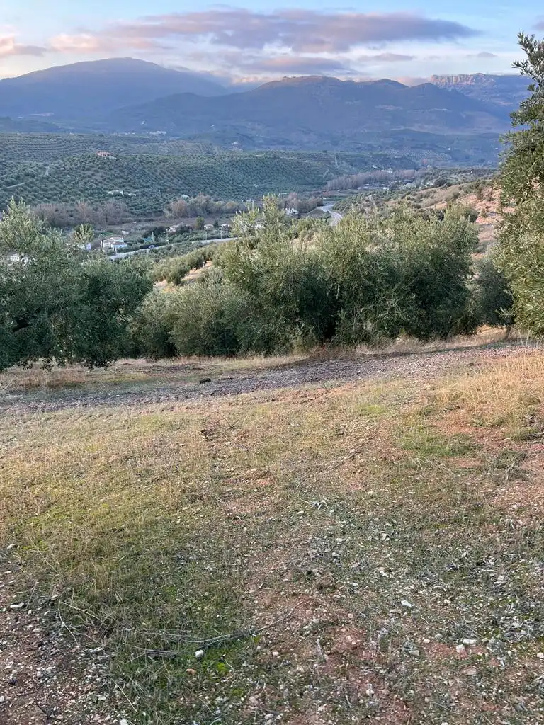 Terreny rústic en venda a Priego de Córdoba, imagen 2