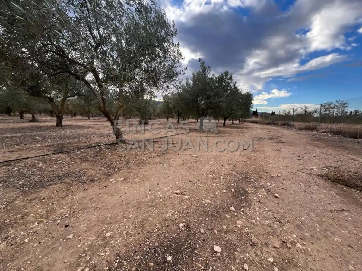 Country homes for sale in Biar