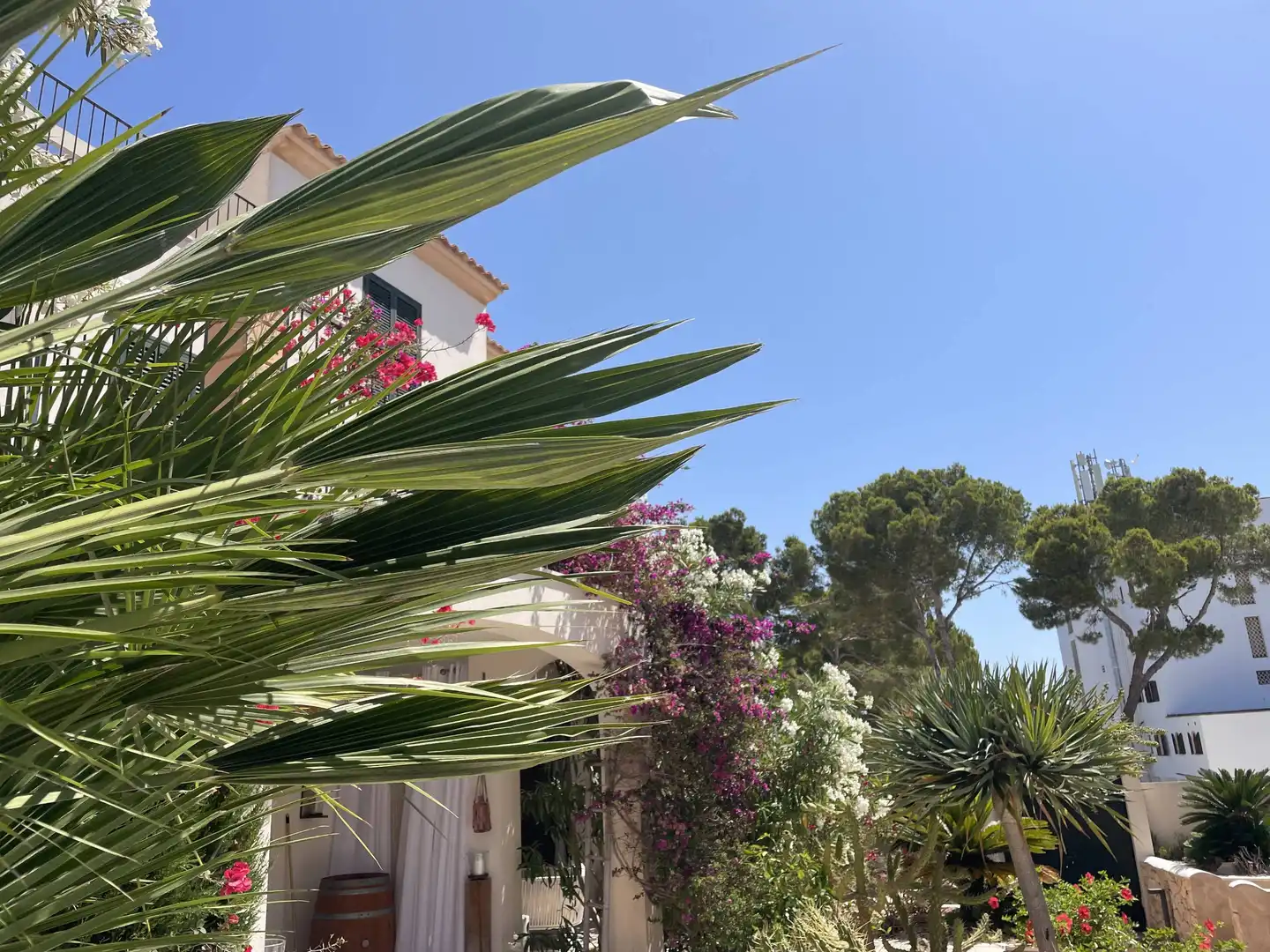 Exterior view of Flat for sale in Santanyí  with Terrace