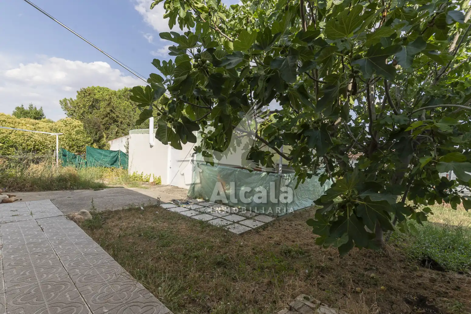 Jardí de Casa o xalet en venda en Torrejón del Rey amb Aire condicionat, Calefacció i Piscina