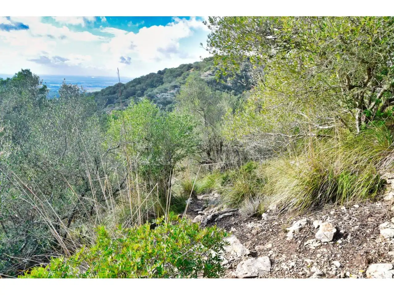 Wohnbaugrundstück zum Verkauf in Poligono 34 1254, imagen 18