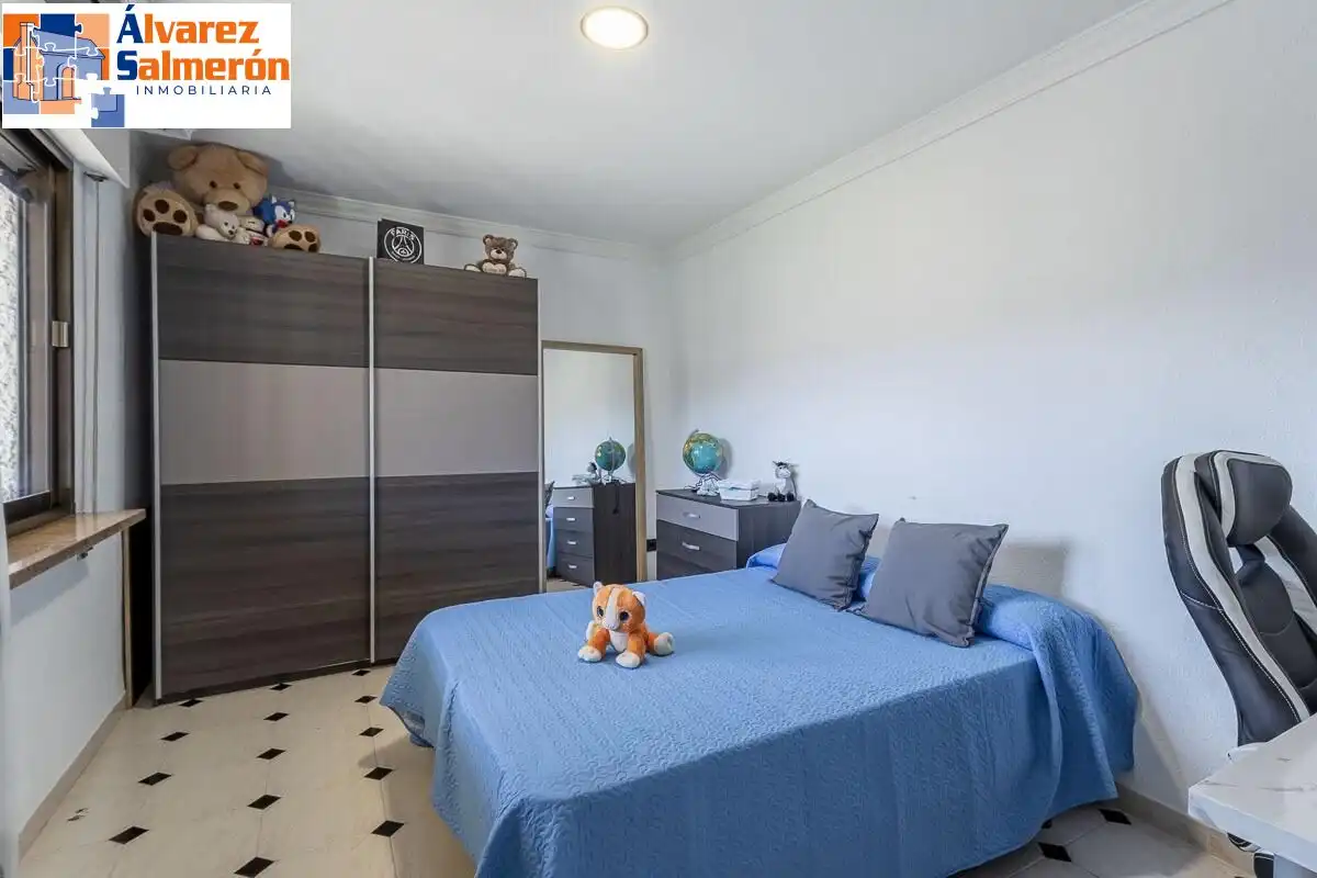House with garden for sale in Calle MOLINILLO, imagen 11