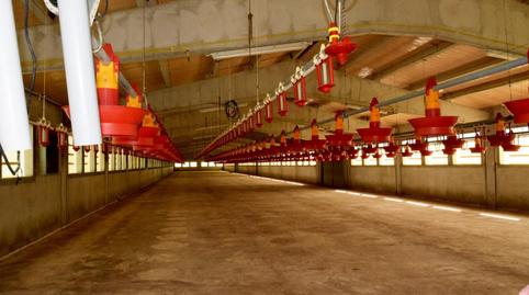 Foto 5 de Finca rústica en venta en Poligono 2, Xerta, Tarragona