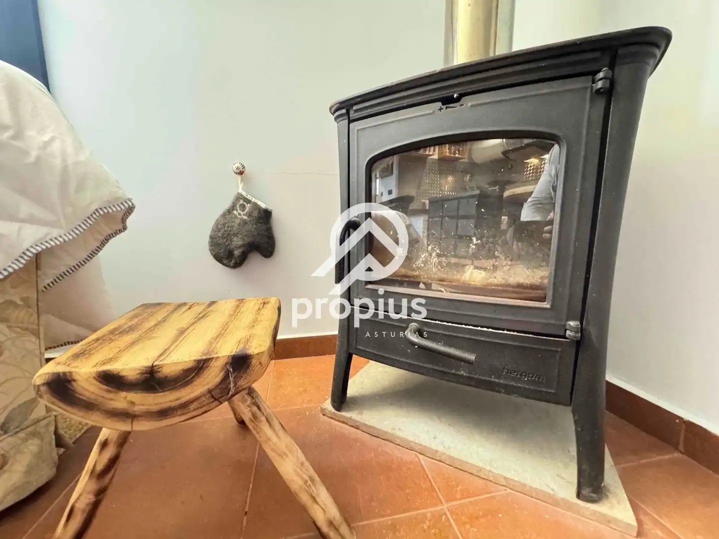 Vista exterior de Casa o chalet en venta en Ribadesella con Calefacción, Jardín privado y Terraza