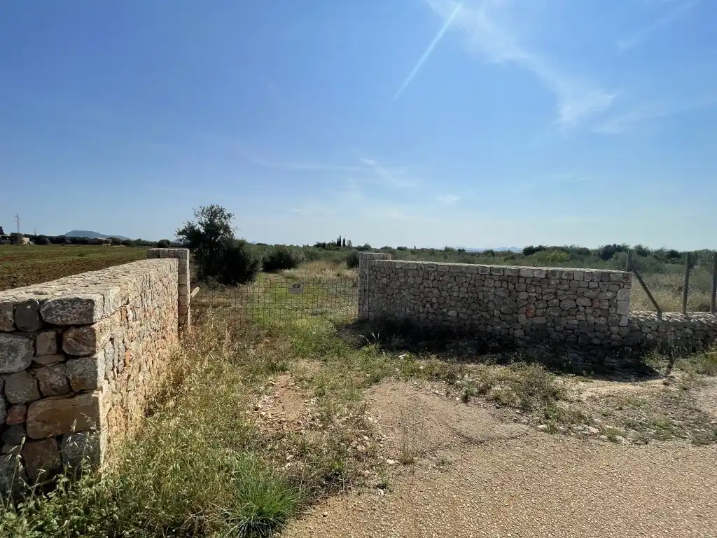 Terreny rústic en venda a Búger, imagen 10
