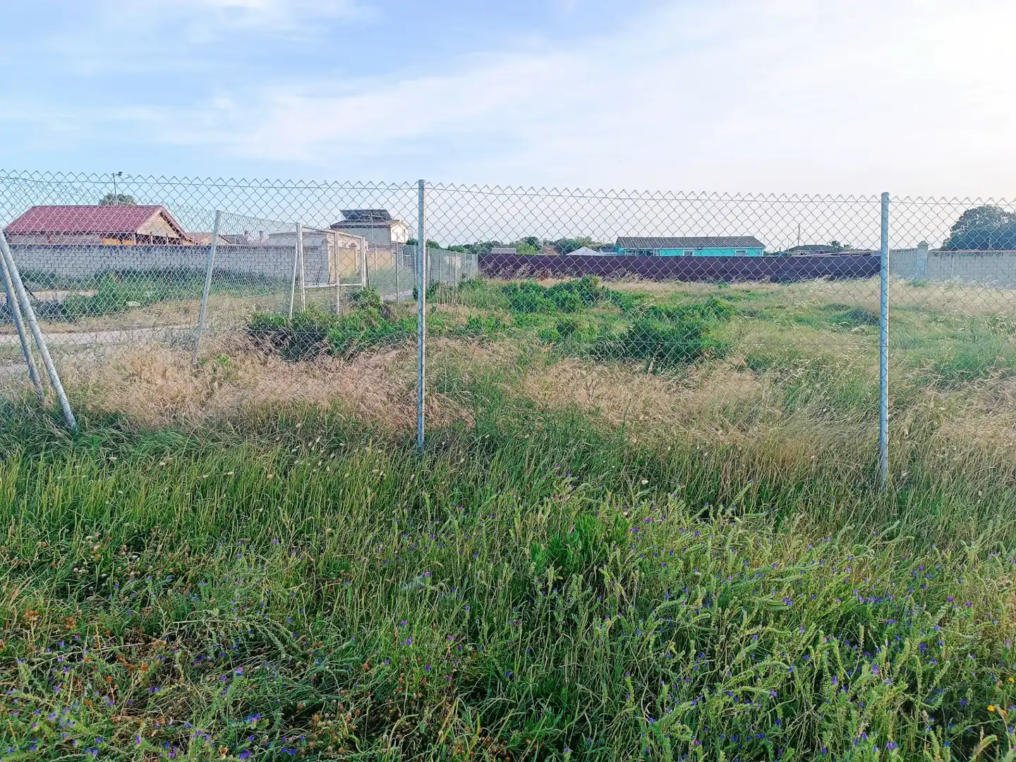 Terreny rústic en venda a Ctra Sanlúcar - Cuatro Pinos, imagen 3
