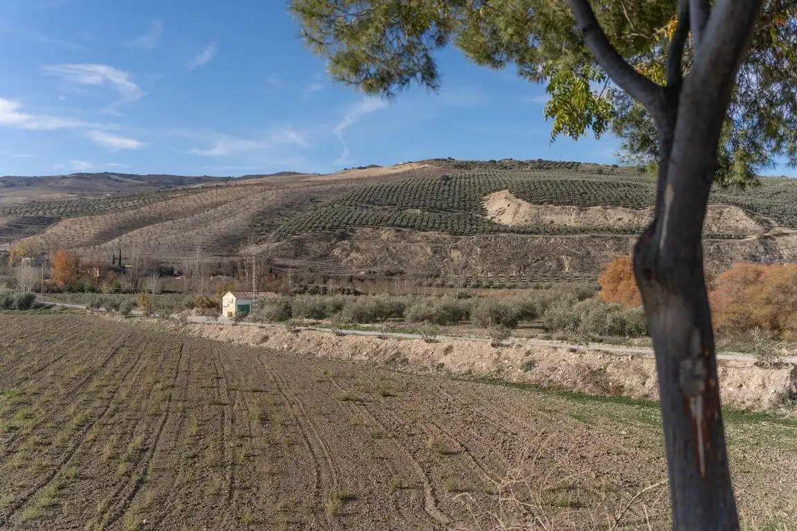 Casa o xalet en venda en Cacín amb Balcó