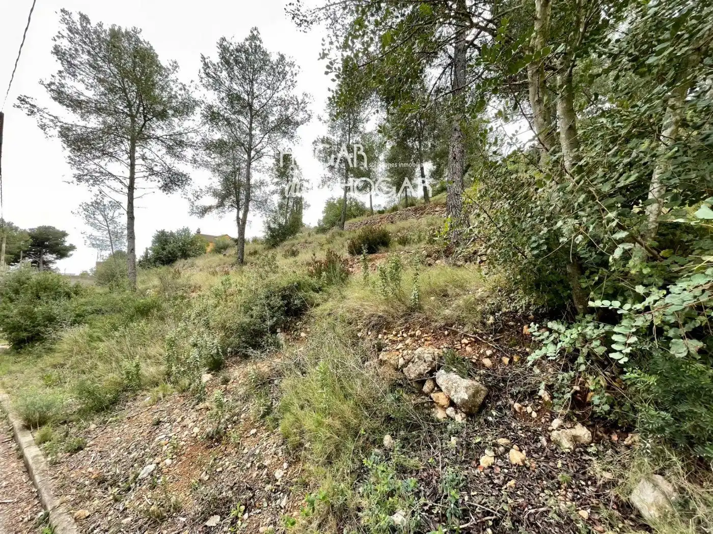 Rural land for sale in Segovia-Priorat, imagen 5