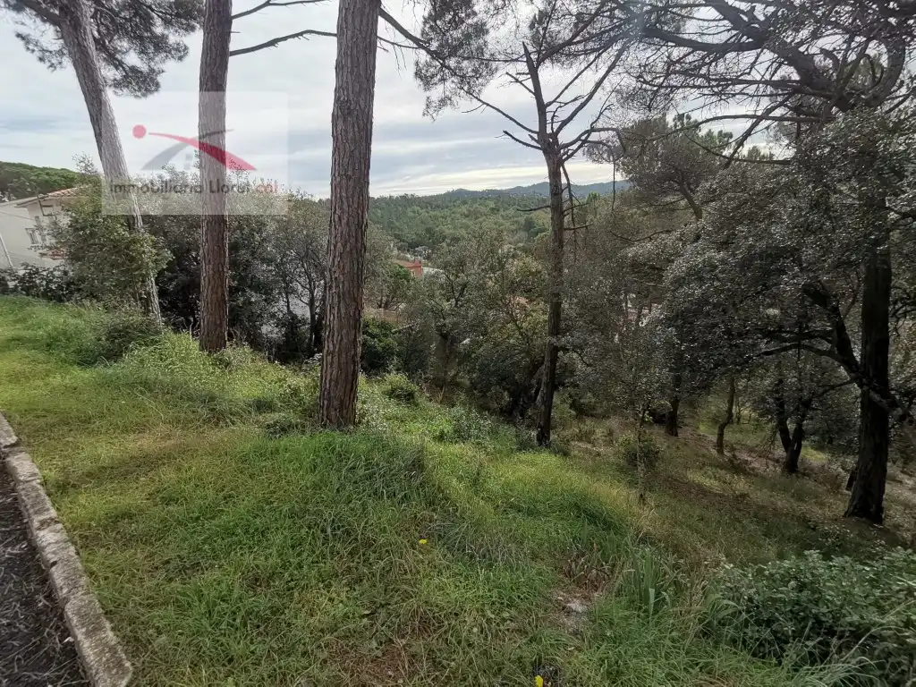 Terreny residencial en venda a Carrer del Puig Colomer 116, imagen 3