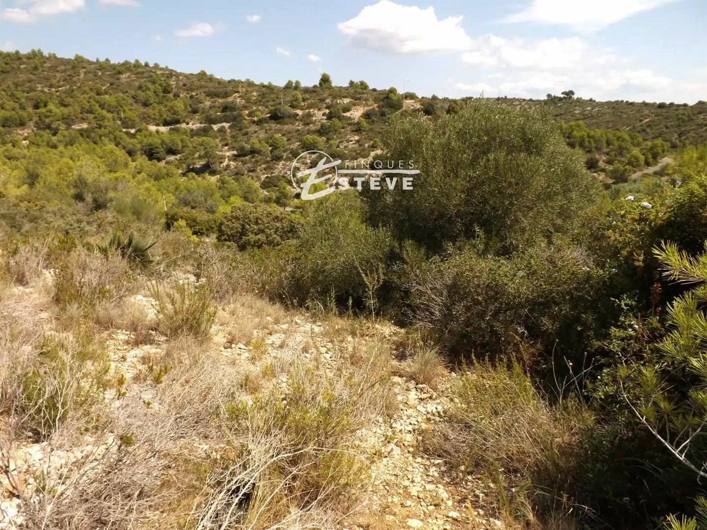 Terreno rustico in vendita a BOI, imagen 10