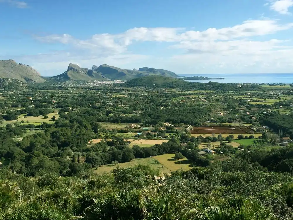 Rustikales Grundstück zum Verkauf in Pollença Poble, imagen 18