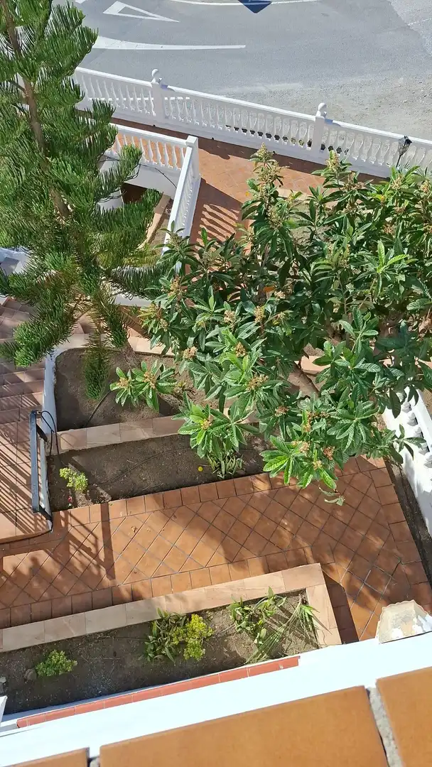 Casa con jardín en venta en Monte los Almendros - El Pargo - Costa Aguilera, imagen 86