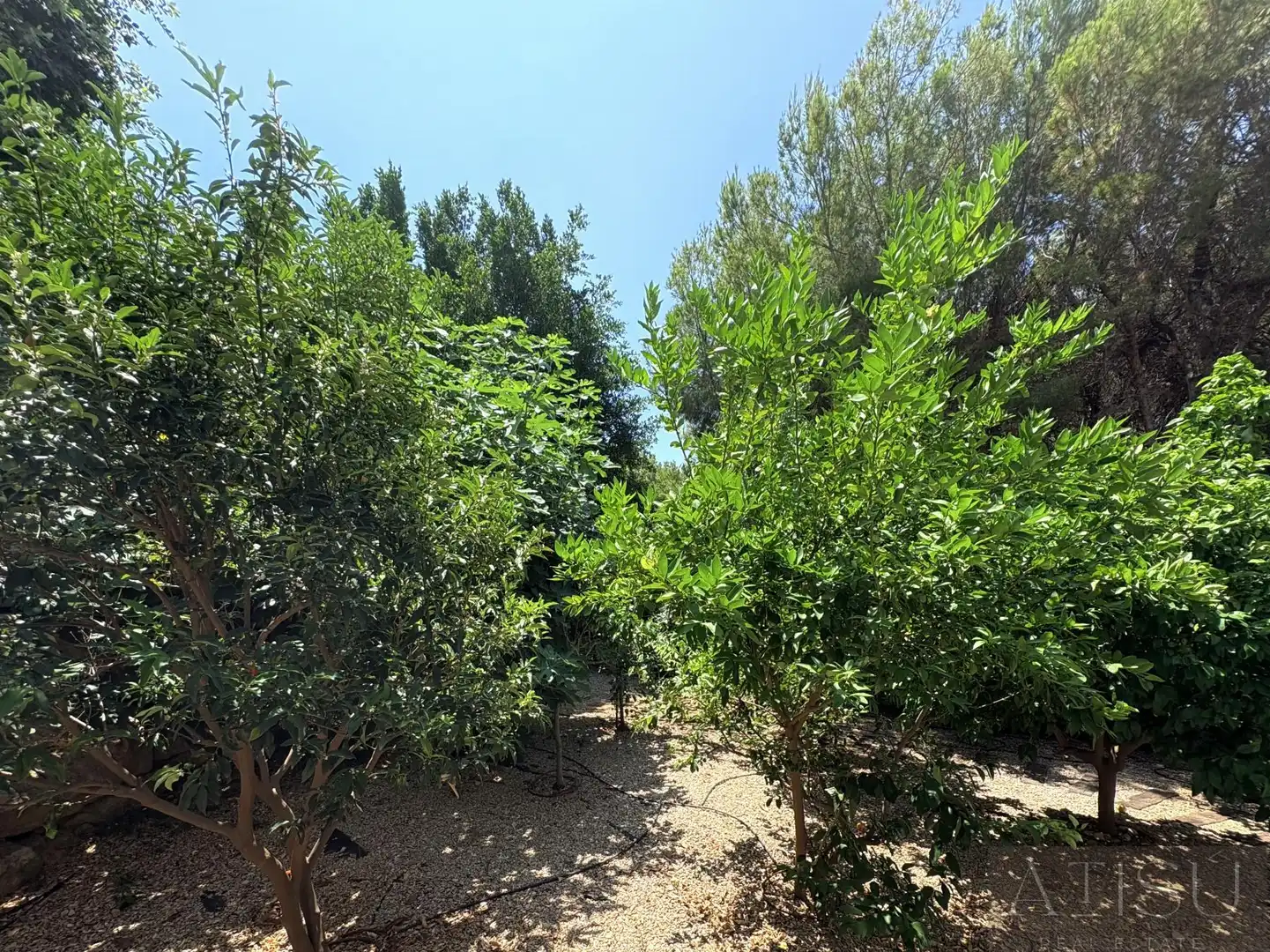 Villa mit Terrasse zum Verkauf in Moraira, imagen 37