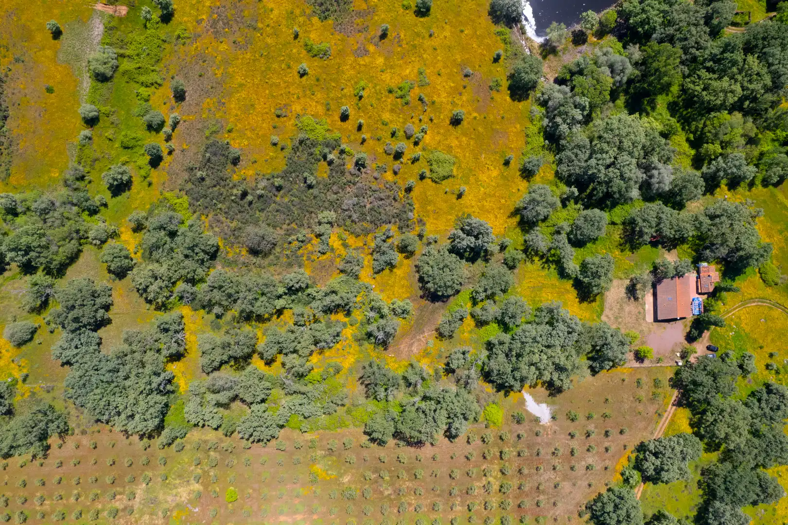 Terreno en venta en Robledillo de la Vera