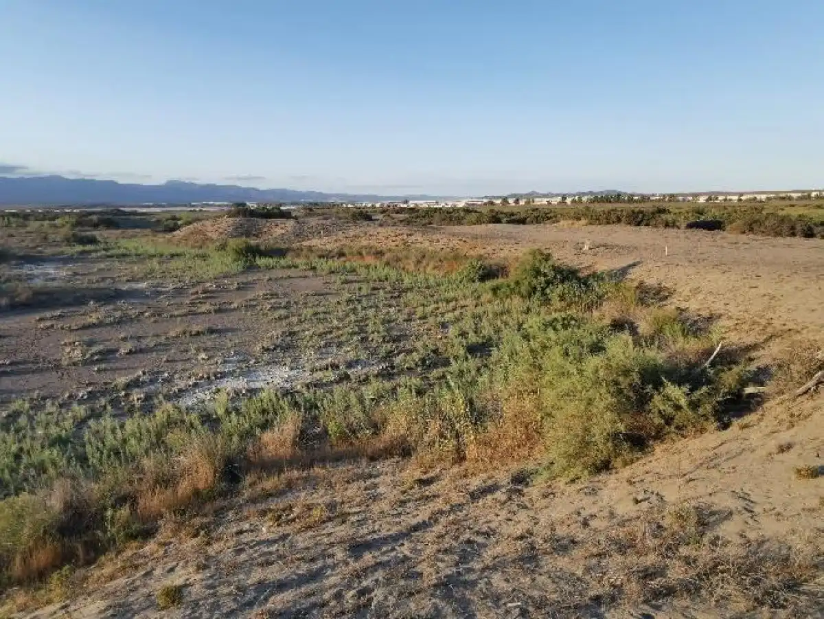 Terreno rustico in vendita a Camino LOS HUERTOS, imagen 6