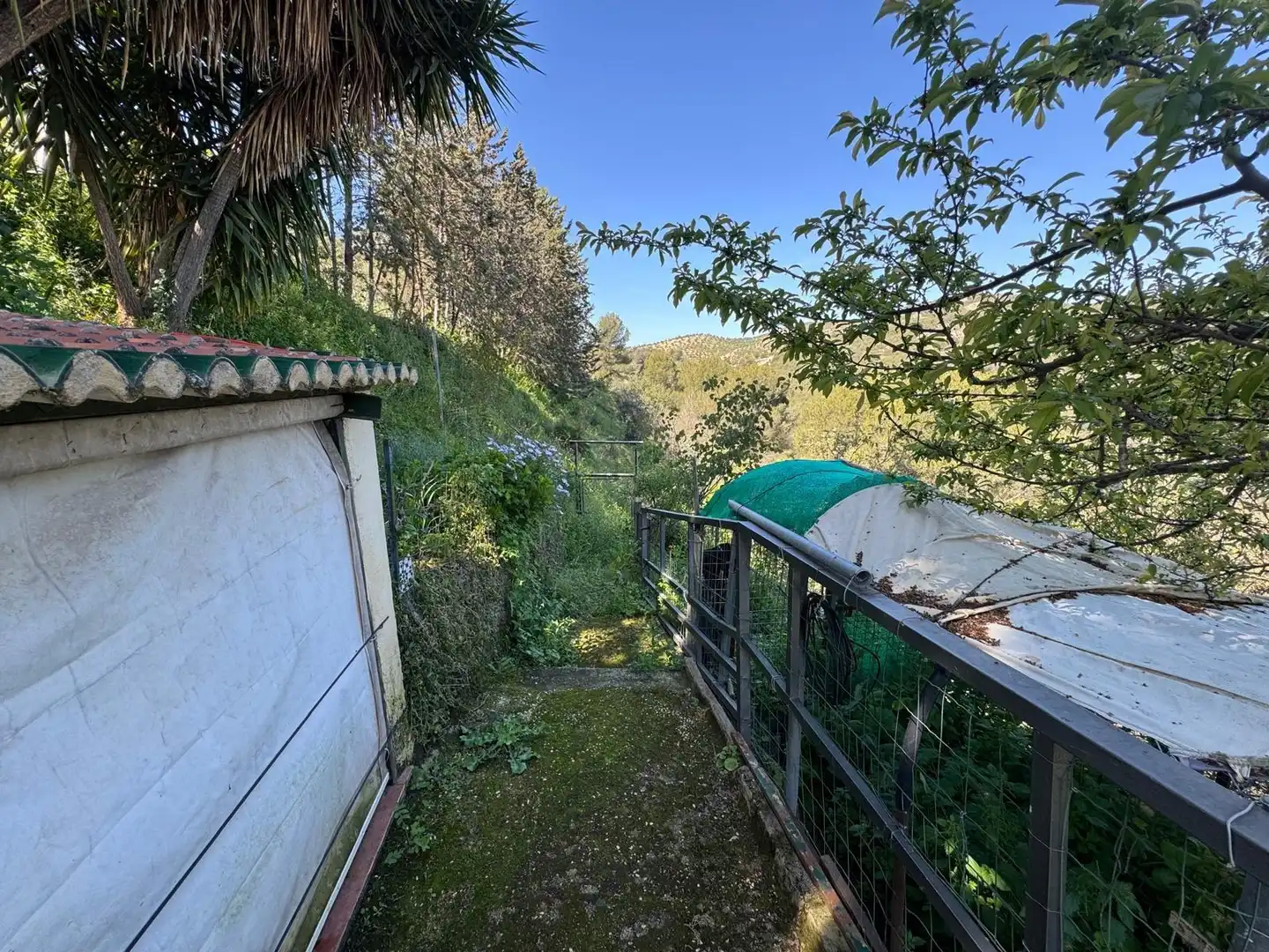 Vista exterior de Casa o chalet en venta en Ardales con Jardín privado y Terraza