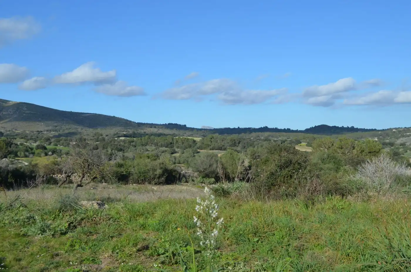 Casa rústica amb jardí en venda a Sant Llorenç des Cardassar, imagen 9