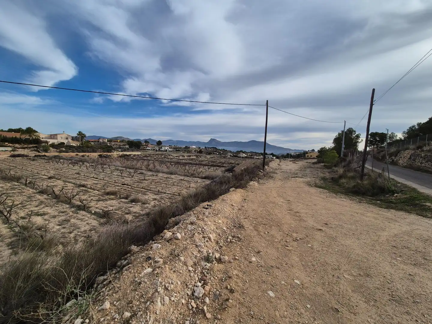 Terreny rústic en venda a Monóvar  / Monòver, imagen 28