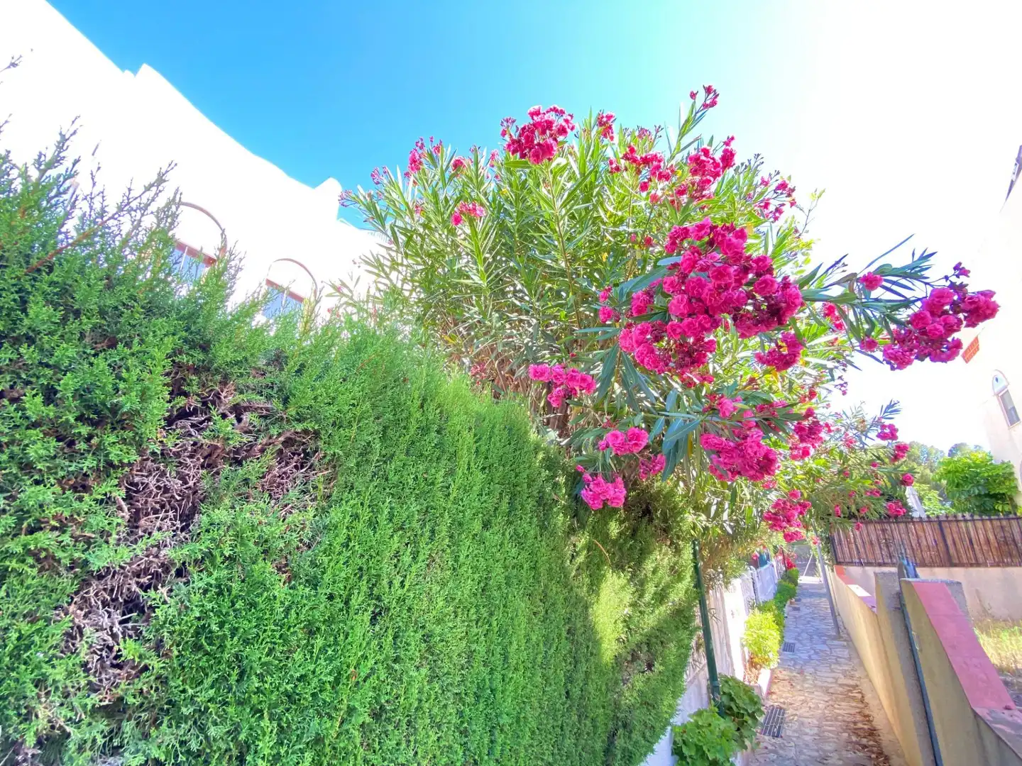Bungalow avec piscine à louer à Carretera Carretera Alicante-Valencia 5, imagen 23
