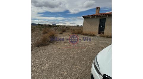 FINCA DE SECANO EN ZARZALICO DE 35.000 M2 CON CASETA DE 40 M2 PARA APEROS CON CHIMENEA, image 2