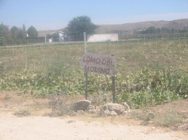 Xalet amb piscina en venda a Chinchón
