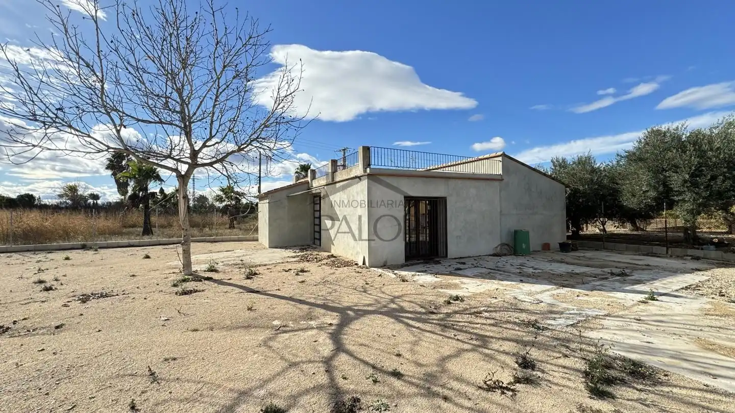 Finca rústica en venta en Carcaixent