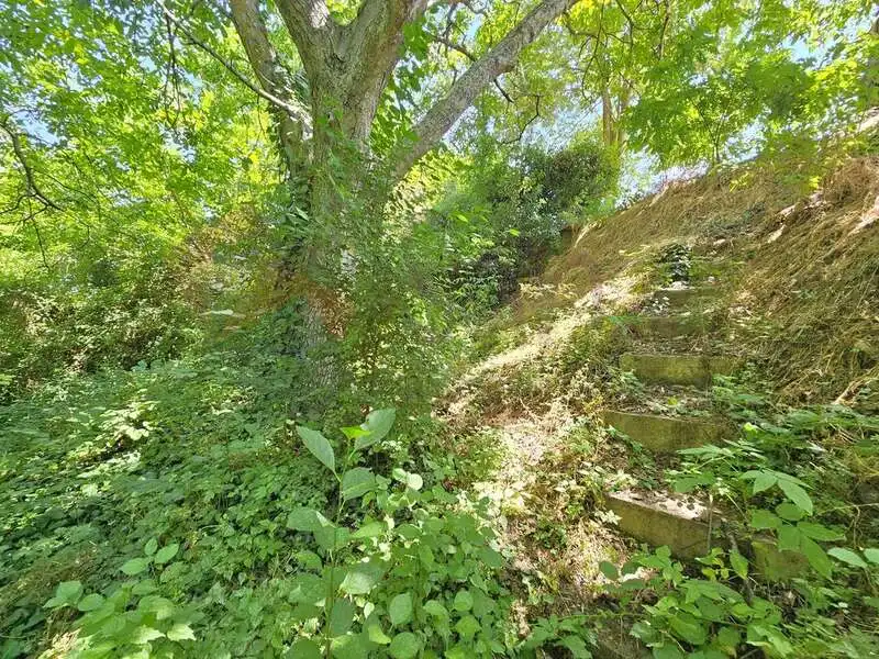 Casa o chalet en venta en Cañas con Jardín privado