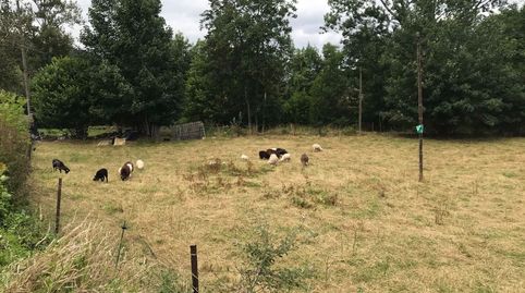 Venta de finca edificable en Mestas de Con, imatge 2