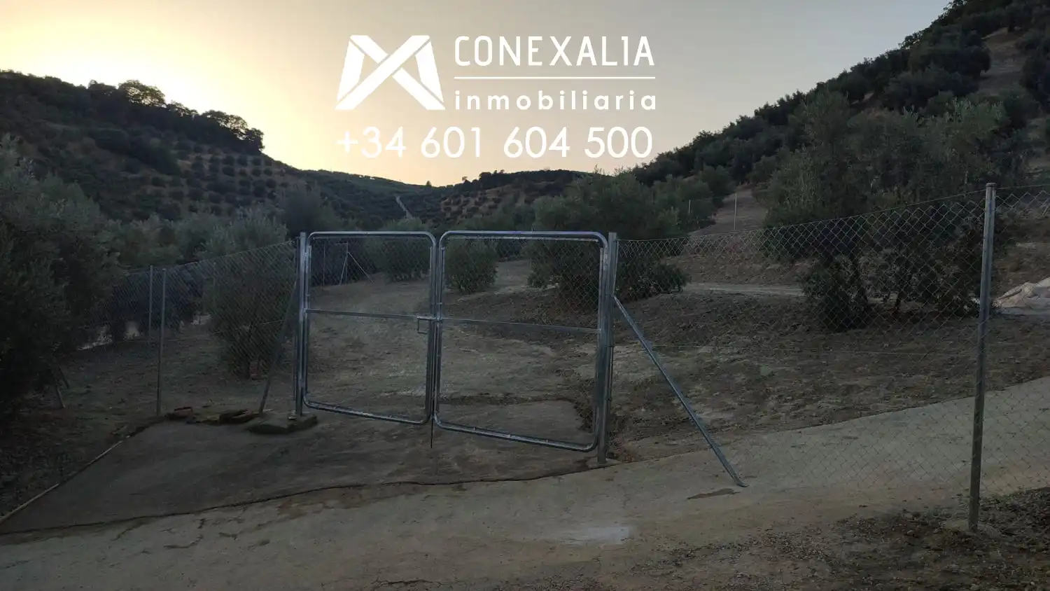 Country homes for sale in Alcalá del Valle